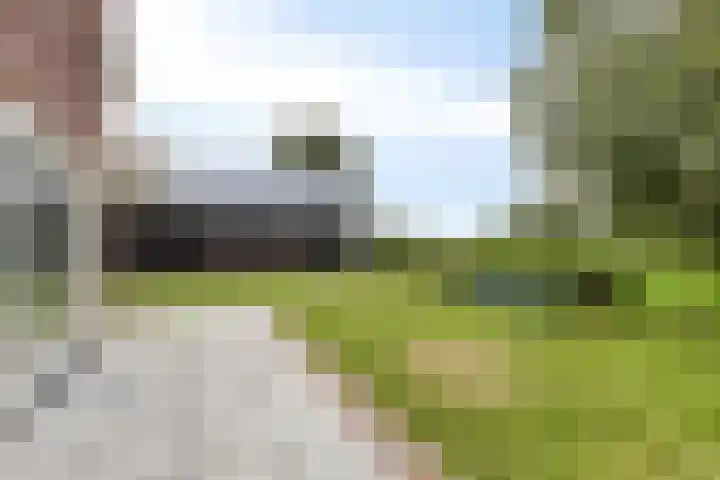Ingelumerdyk 10 Bitgummole thumbnail 57