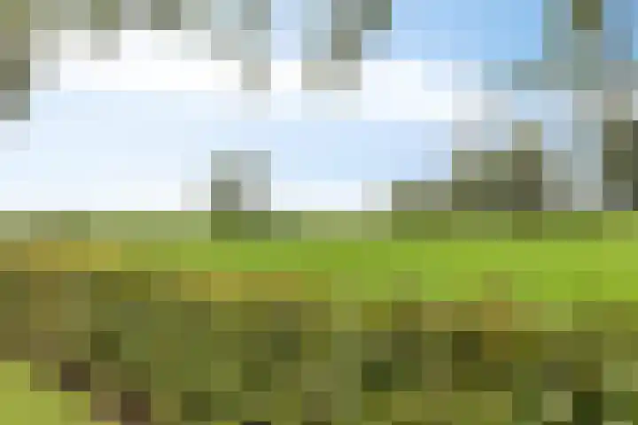 Ingelumerdyk 10 Bitgummole thumbnail 59