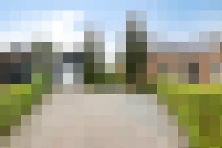 Ingelumerdyk 10 Bitgummole thumbnail 6