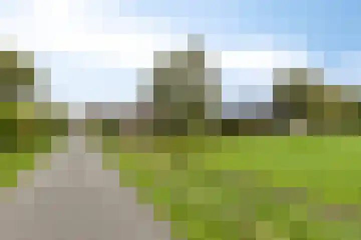 Ingelumerdyk 10 Bitgummole thumbnail 67