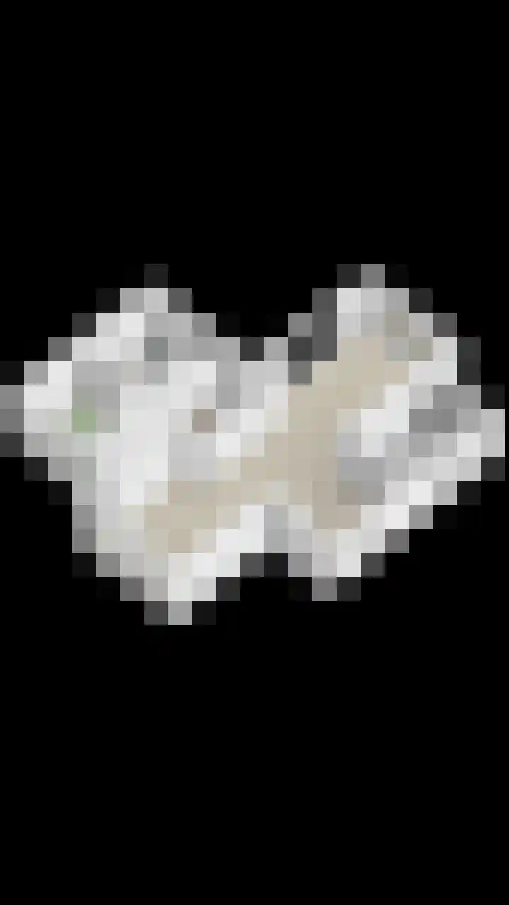 Ingelumerdyk 10 Bitgummole thumbnail 71