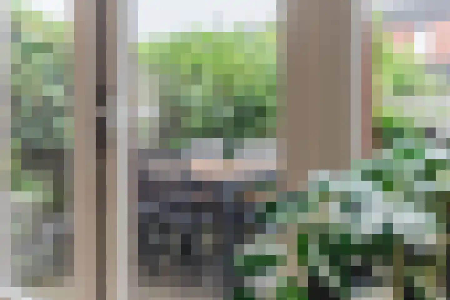 Ingen-Houszstraat 10 Haarlem thumbnail 10