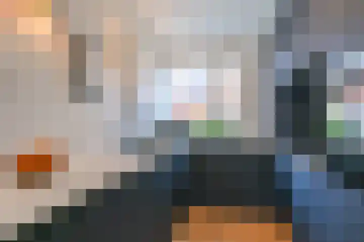 Ingen-Houszstraat 10 Haarlem thumbnail 11