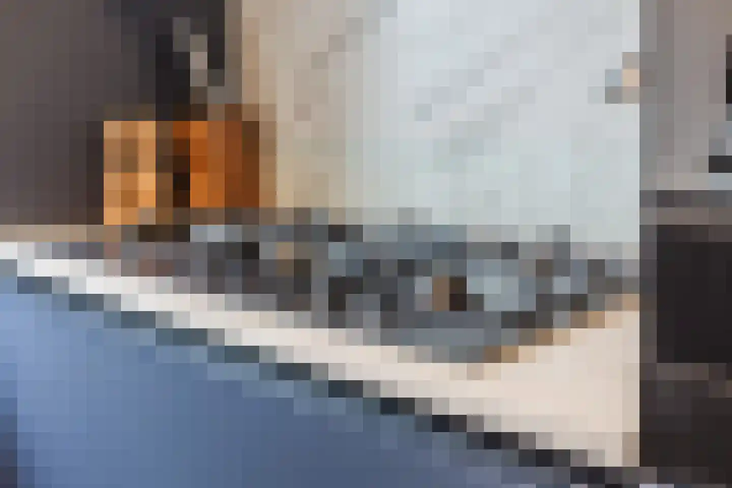 Ingen-Houszstraat 10 Haarlem thumbnail 16
