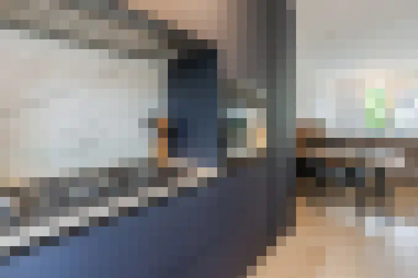 Ingen-Houszstraat 10 Haarlem thumbnail 17