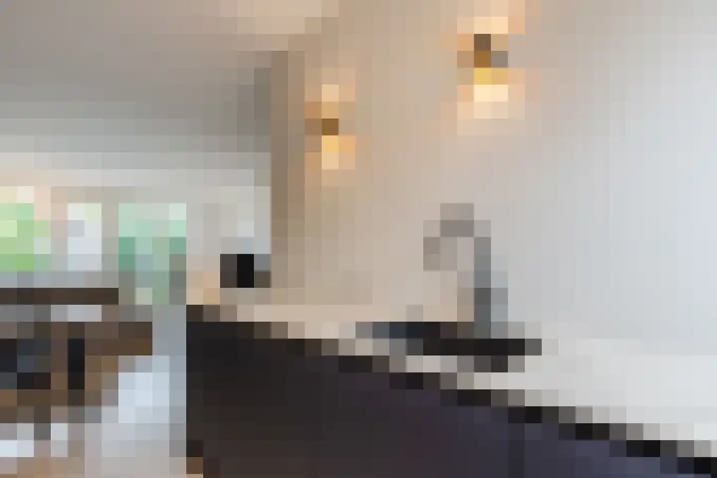Ingen-Houszstraat 10 Haarlem thumbnail 18