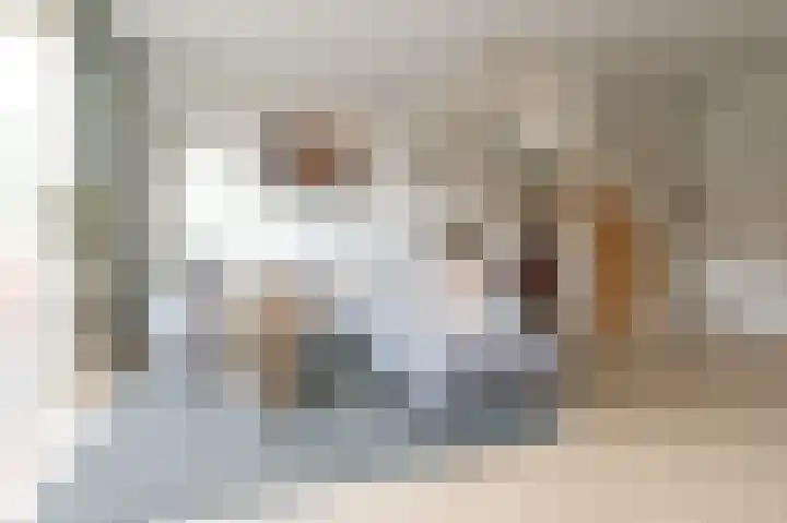 Ingen-Houszstraat 10 Haarlem thumbnail 18