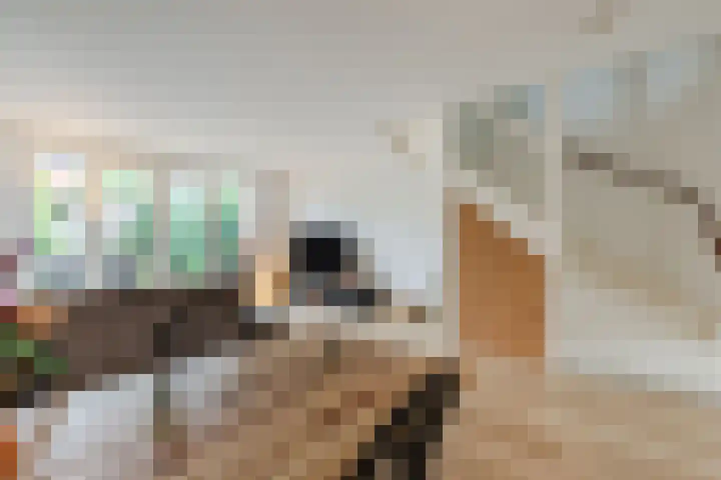 Ingen-Houszstraat 10 Haarlem thumbnail 19