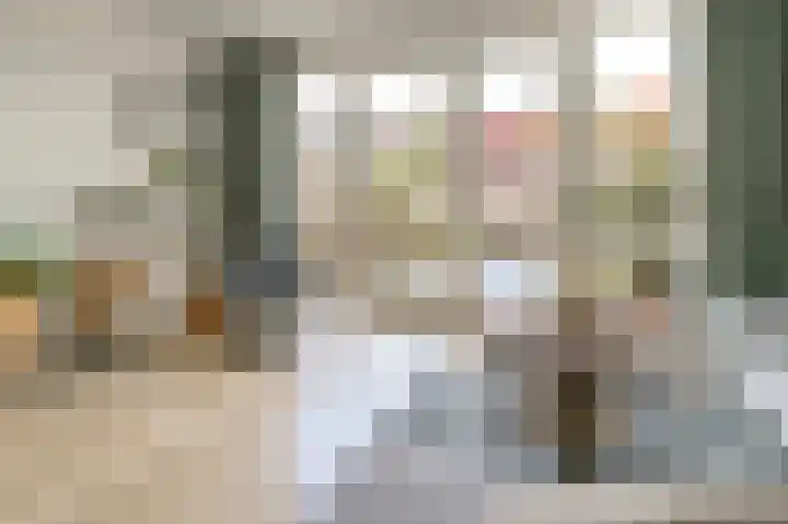 Ingen-Houszstraat 10 Haarlem thumbnail 20