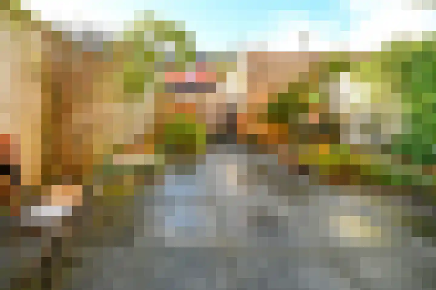 Ingen-Houszstraat 10 Haarlem thumbnail 21