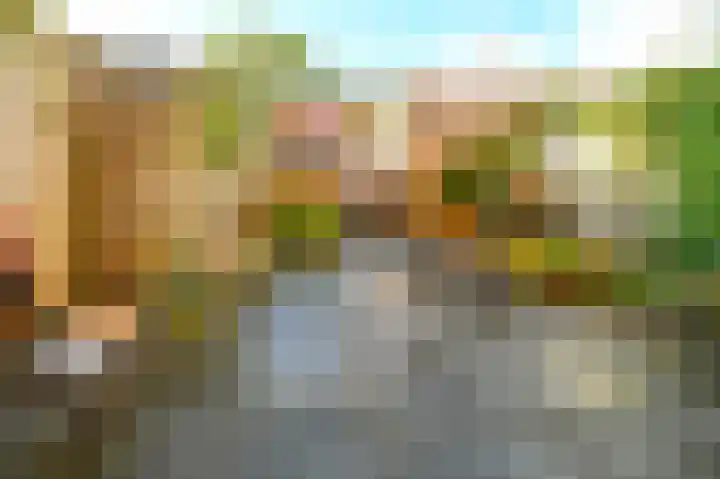 Ingen-Houszstraat 10 Haarlem thumbnail 22