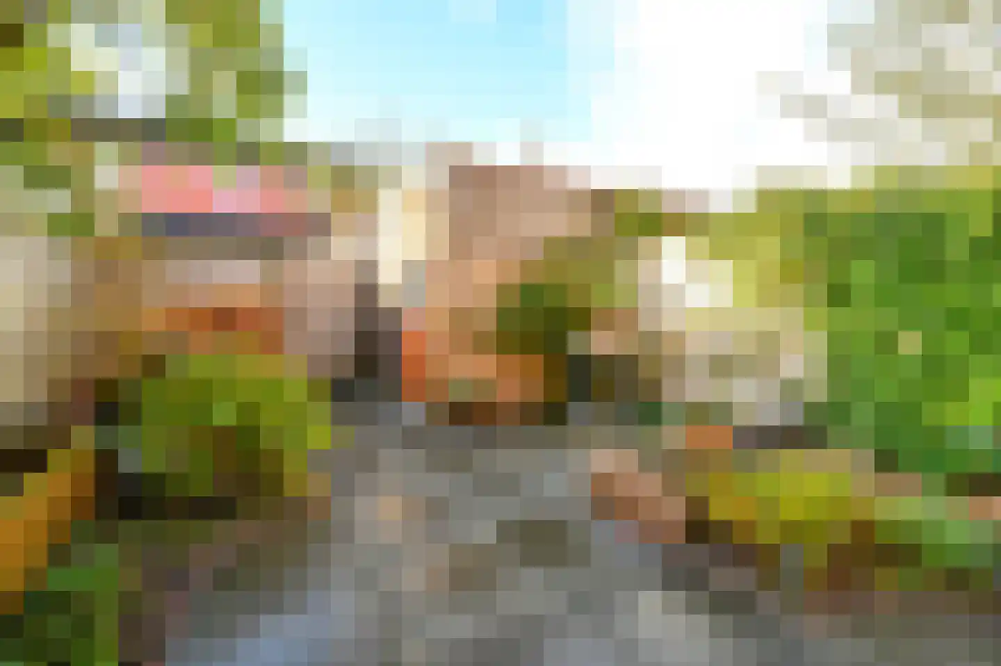 Ingen-Houszstraat 10 Haarlem thumbnail 22