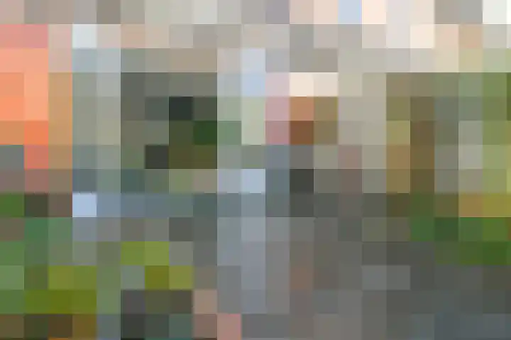 Ingen-Houszstraat 10 Haarlem thumbnail 25