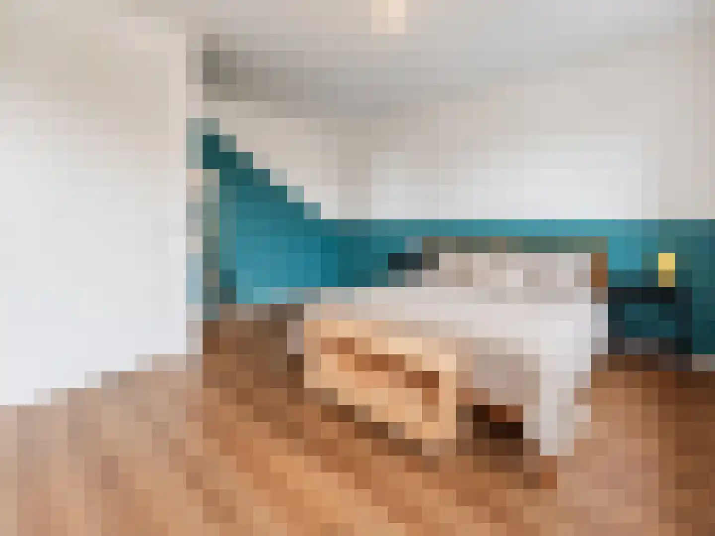 Ingen-Houszstraat 10 Haarlem thumbnail 27