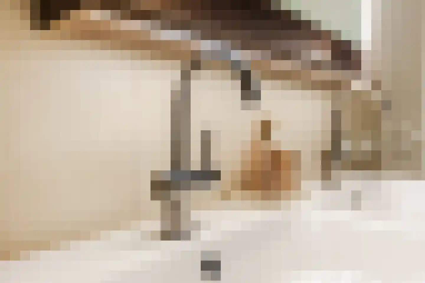 Ingen-Houszstraat 10 Haarlem thumbnail 30