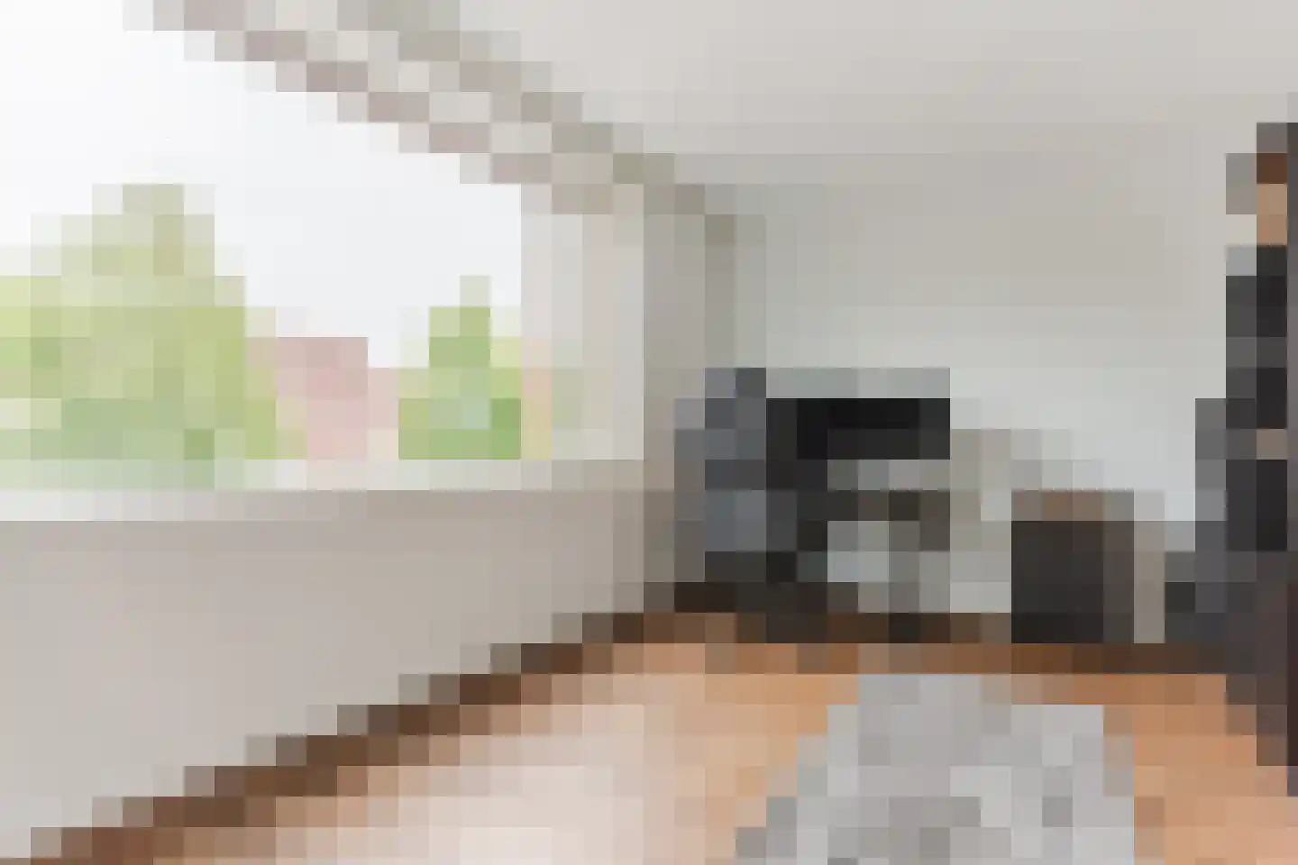 Ingen-Houszstraat 10 Haarlem thumbnail 32