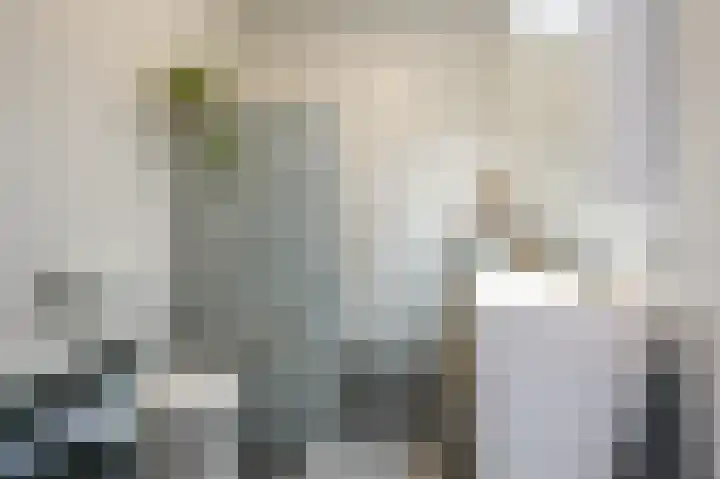 Ingen-Houszstraat 10 Haarlem thumbnail 34