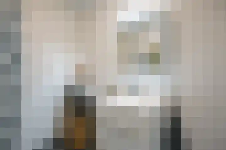 Ingen-Houszstraat 10 Haarlem thumbnail 35