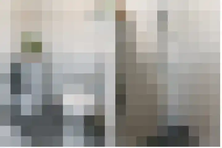 Ingen-Houszstraat 10 Haarlem thumbnail 36