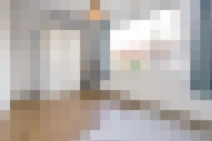 Ingen-Houszstraat 10 Haarlem thumbnail 39