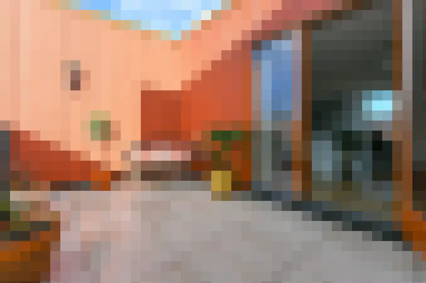 Ingen-Houszstraat 10 Haarlem thumbnail 39