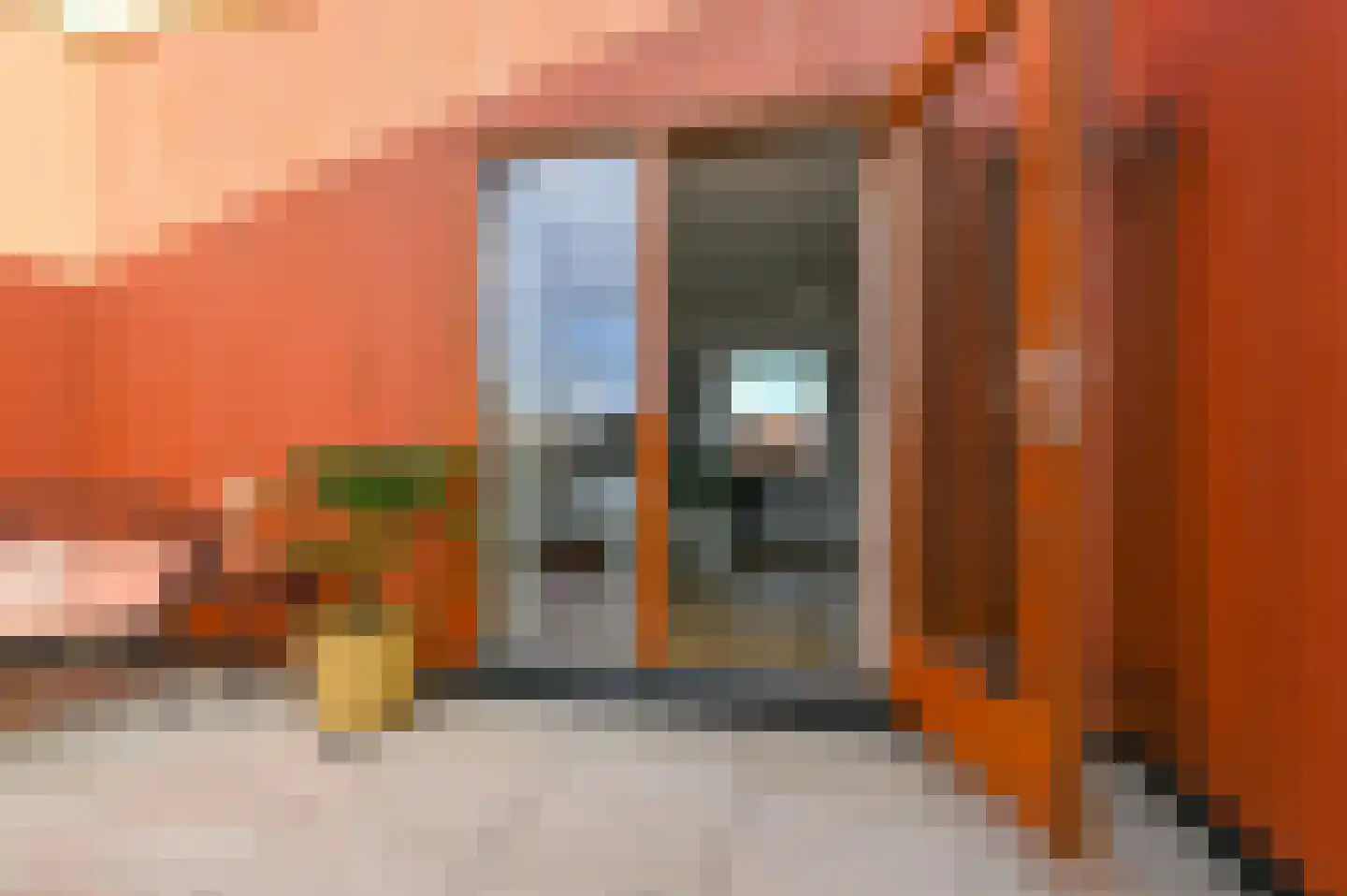 Ingen-Houszstraat 10 Haarlem thumbnail 40