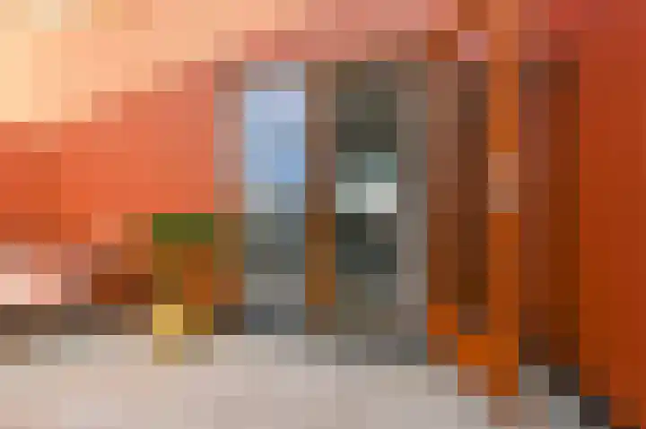 Ingen-Houszstraat 10 Haarlem thumbnail 45