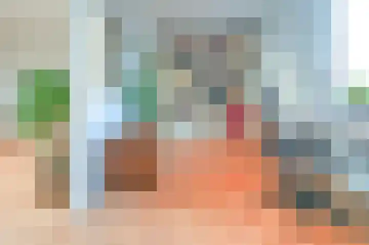 Ingen-Houszstraat 10 Haarlem thumbnail 47