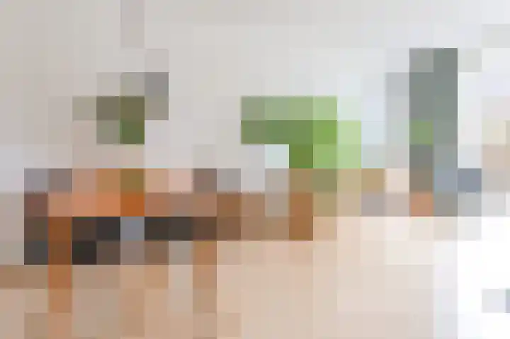 Ingen-Houszstraat 10 Haarlem thumbnail 8