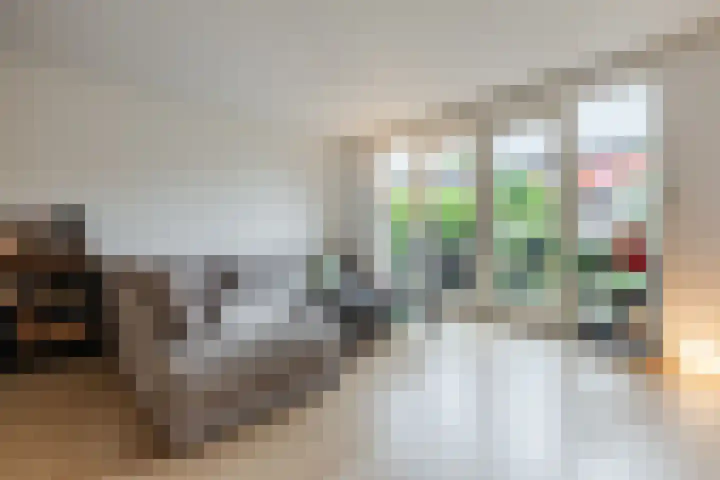 Ingen-Houszstraat 10 Haarlem thumbnail 9