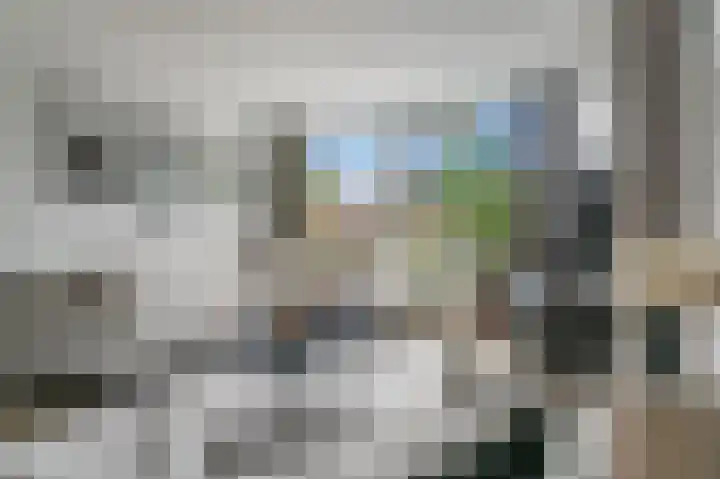 Ingen Houszstraat 14 Heemskerk thumbnail 10