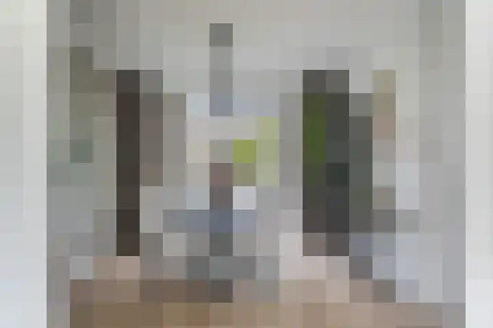Ingen Houszstraat 14 Heemskerk thumbnail 12
