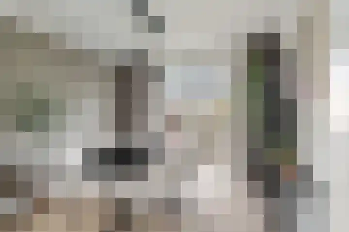 Ingen Houszstraat 14 Heemskerk thumbnail 13