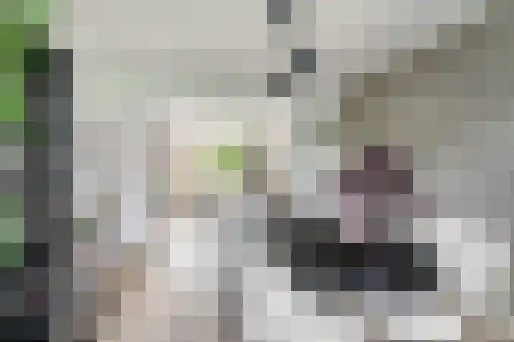 Ingen Houszstraat 14 Heemskerk thumbnail 14