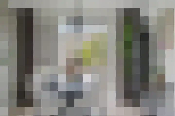 Ingen Houszstraat 14 Heemskerk thumbnail 15