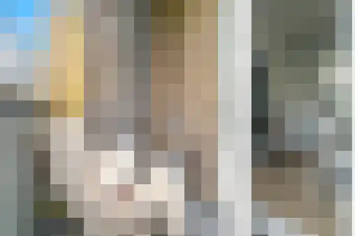 Ingen Houszstraat 14 Heemskerk thumbnail 16