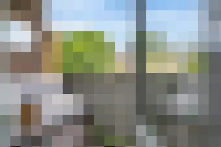 Ingen Houszstraat 14 Heemskerk thumbnail 17