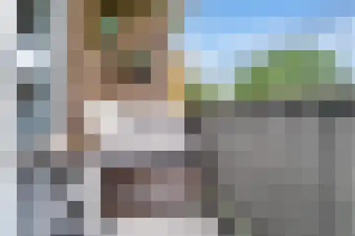 Ingen Houszstraat 14 Heemskerk thumbnail 18