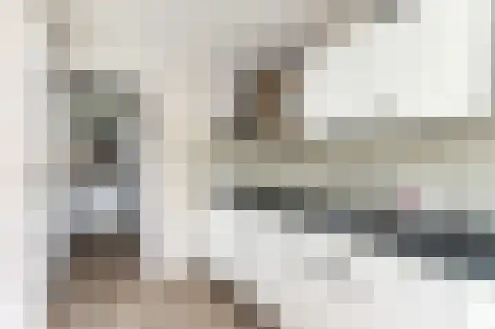 Ingen Houszstraat 14 Heemskerk thumbnail 20