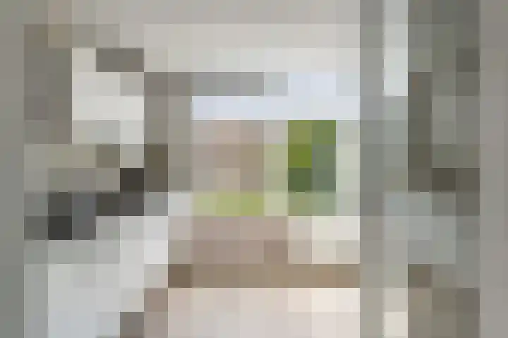 Ingen Houszstraat 14 Heemskerk thumbnail 23