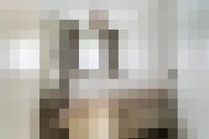 Ingen Houszstraat 14 Heemskerk thumbnail 24