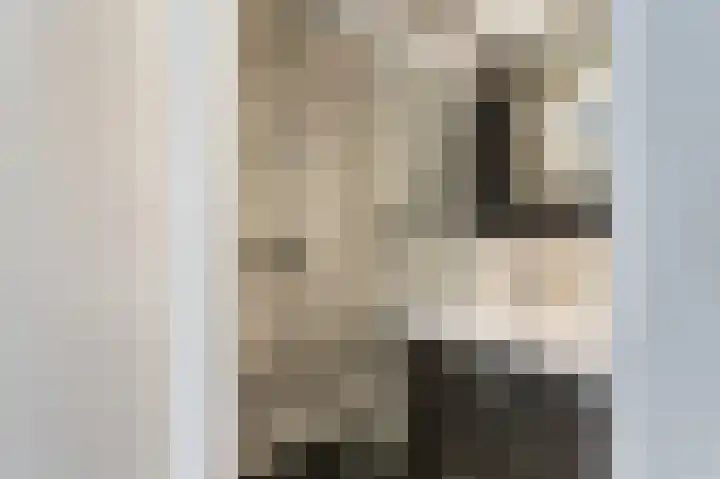 Ingen Houszstraat 14 Heemskerk thumbnail 27