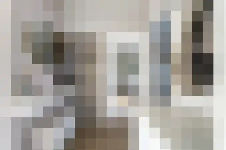 Ingen Houszstraat 14 Heemskerk thumbnail 6