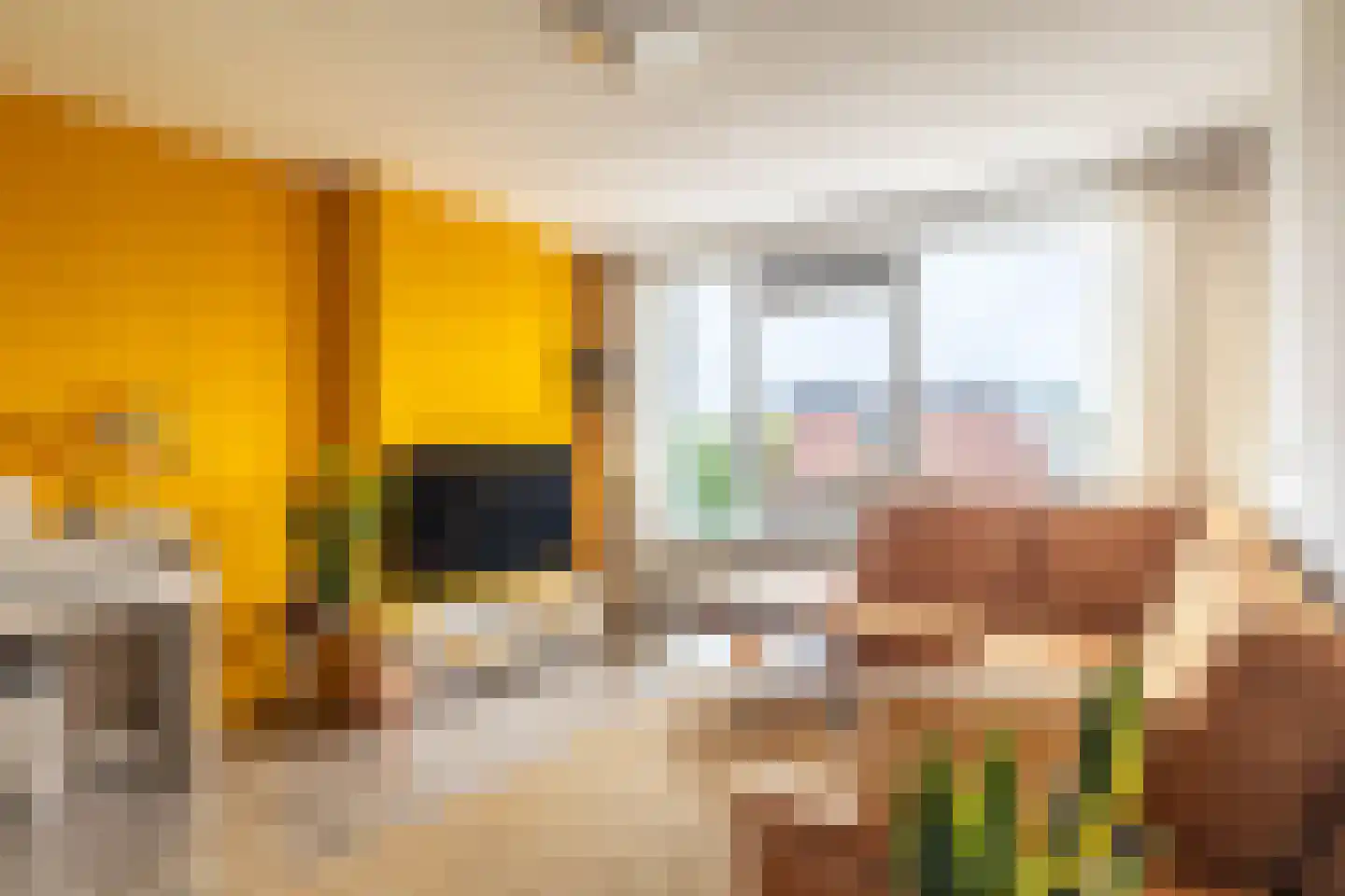 Ingen Houszstraat 57 Heemskerk thumbnail 8