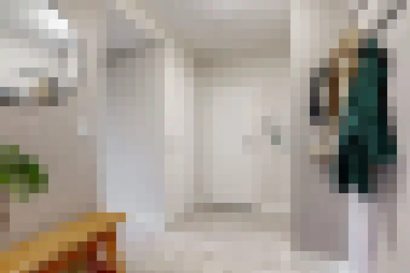 Ingen Houszstraat 79 Heemskerk thumbnail 10