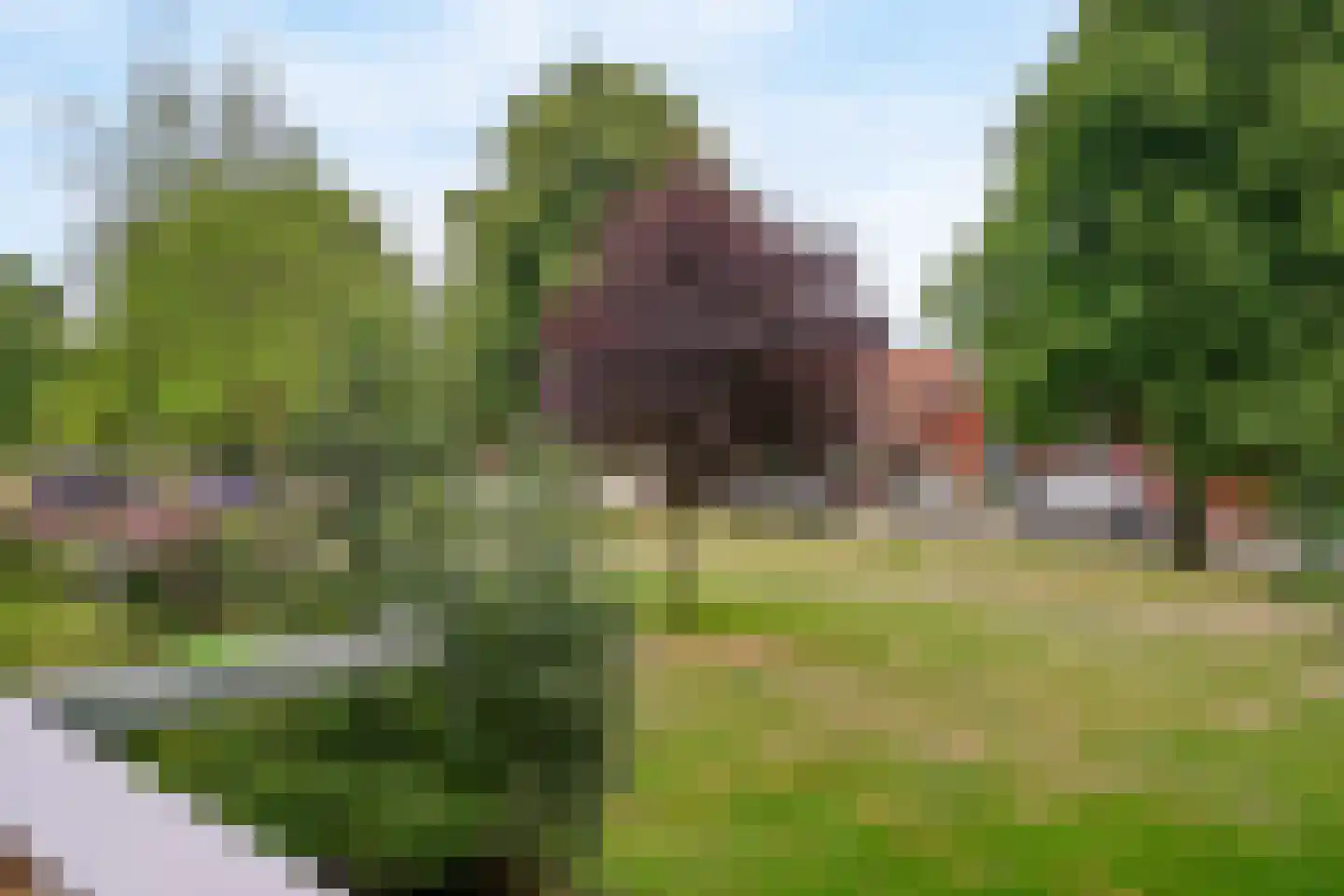 Ingen Houszstraat 79 Heemskerk thumbnail 11