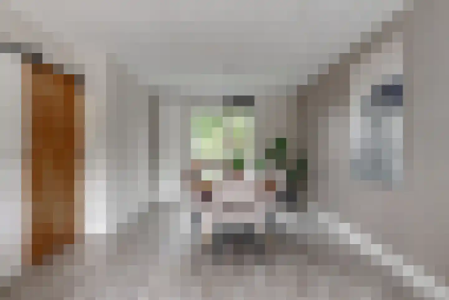 Ingen Houszstraat 79 Heemskerk thumbnail 13