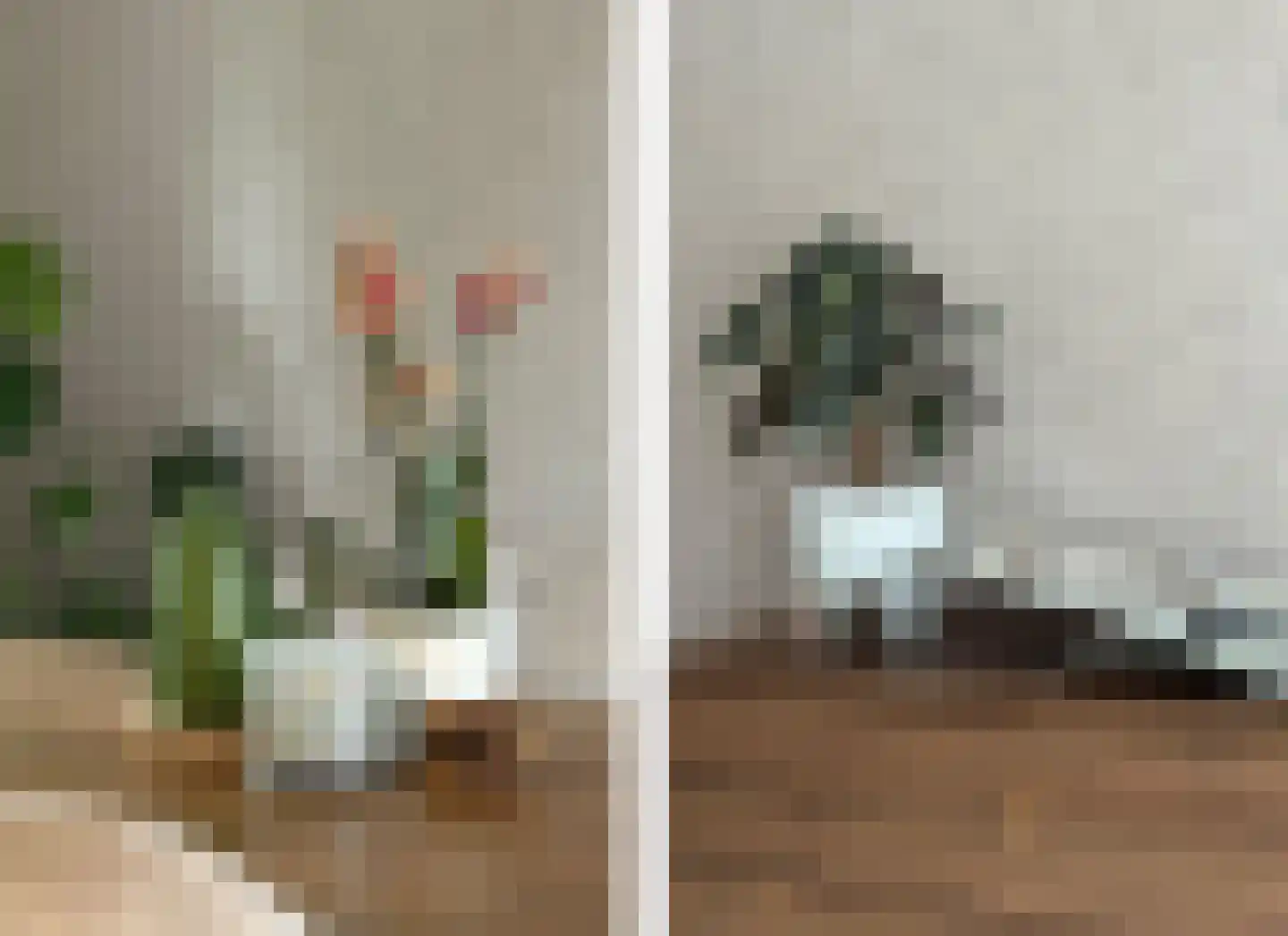 Ingen Houszstraat 79 Heemskerk thumbnail 15