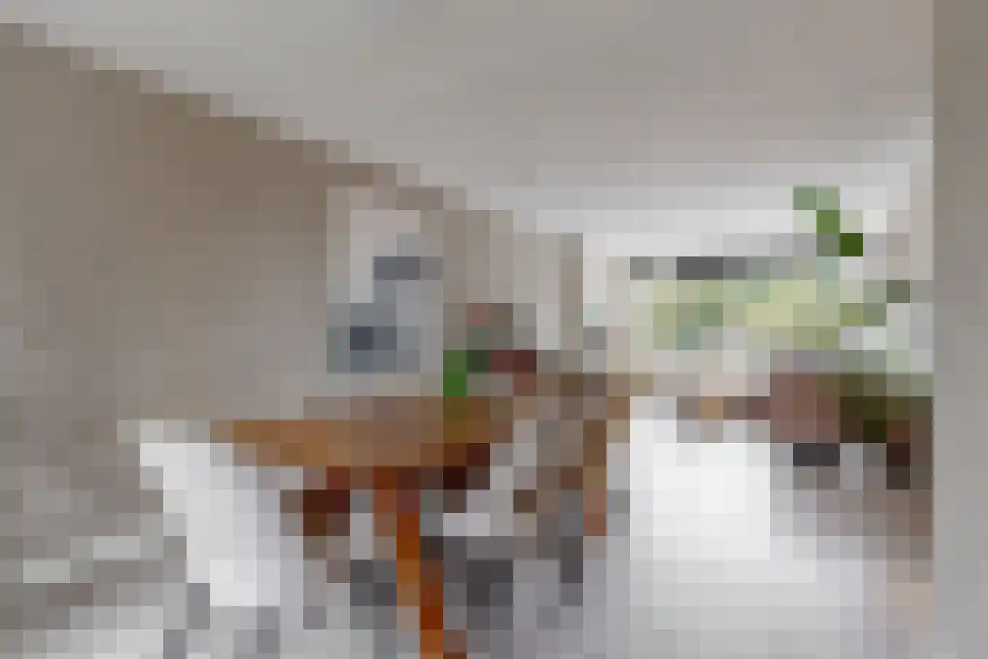 Ingen Houszstraat 79 Heemskerk thumbnail 16