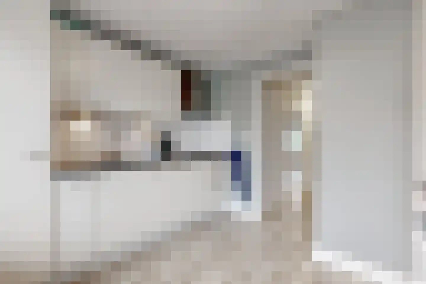 Ingen Houszstraat 79 Heemskerk thumbnail 17